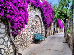 Fototapeta vliesov 270 x 200, 50635038 - Vibrant flower draped pathway in Capri, Italy