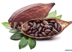 Samolepka flie 100 x 73, 50690760 - Cocoa pod - Kakaov lusek