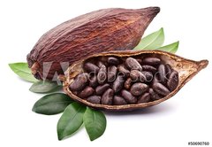 Samolepka flie 145 x 100, 50690760 - Cocoa pod - Kakaov lusek