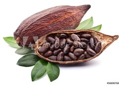 Fototapeta plátno 160 x 116, 50690760 - Cocoa pod - Kakaový lusek
