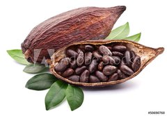 Fototapeta papr 184 x 128, 50690760 - Cocoa pod - Kakaov lusek