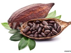 Fototapeta pltno 330 x 244, 50690760 - Cocoa pod - Kakaov lusek