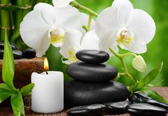 Fototapeta pltno 174 x 120, 50753517 - spa concept
