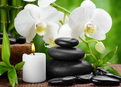Fototapeta pltno 240 x 174, 50753517 - spa concept