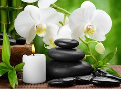 Fototapeta pltno 330 x 244, 50753517 - spa concept