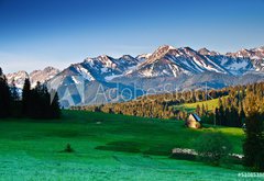 Samolepka flie 145 x 100, 51085386 - Polish Tatra mountains panoram in the morning - Poledn tatransk panorma rno