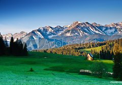 Fototapeta papr 184 x 128, 51085386 - Polish Tatra mountains panoram in the morning