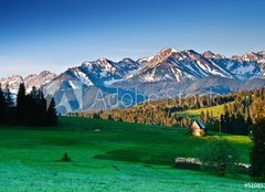 Fototapeta pltno 240 x 174, 51085386 - Polish Tatra mountains panoram in the morning