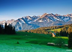 Fototapeta papr 254 x 184, 51085386 - Polish Tatra mountains panoram in the morning