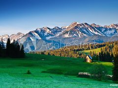 Samolepka flie 270 x 200, 51085386 - Polish Tatra mountains panoram in the morning