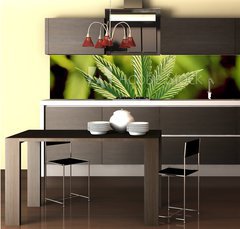 Fototapeta do kuchyn flie 260 x 60, 5123920 - marijuana