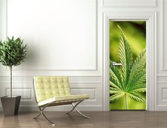 Samolepka na dvee flie 90 x 220  marijuana, 90 x 220 cm