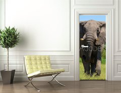 Samolepka na dvee flie 90 x 220  elephant at attack, 90 x 220 cm