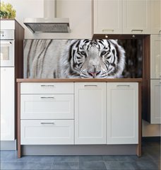 Fototapeta do kuchyn flie 180 x 60  Glance of a passing by white bengal tiger, 180 x 60 cm