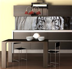 Fototapeta do kuchyn flie 260 x 60, 51332281 - Glance of a passing by white bengal tiger