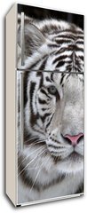 Samolepka na lednici flie 80 x 200  Glance of a passing by white bengal tiger, 80 x 200 cm