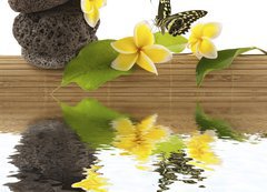 Samolepka flie 200 x 144, 51354195 - concept dtente : bambou, galets, papillon, fleurs