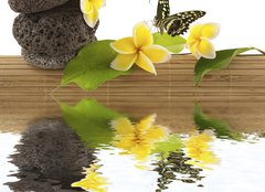 Fototapeta pltno 240 x 174, 51354195 - concept dtente : bambou, galets, papillon, fleurs