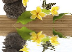 Fototapeta papr 254 x 184, 51354195 - concept dtente : bambou, galets, papillon, fleurs