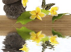 Samolepka flie 270 x 200, 51354195 - concept dtente : bambou, galets, papillon, fleurs