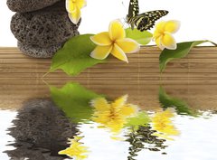 Fototapeta pltno 330 x 244, 51354195 - concept dtente : bambou, galets, papillon, fleurs