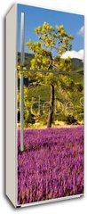 Samolepka na lednici flie 80 x 200, 51603534 - Campi di Lavanda a Valensole Provenza, Francia