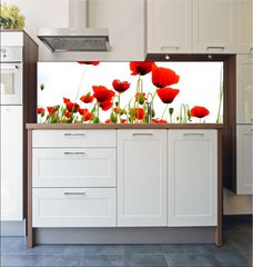 Fototapeta do kuchyn flie 180 x 60  coquelicots sur fond blanc, 180 x 60 cm