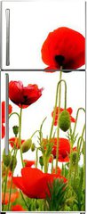 Samolepka na lednici flie 80 x 200, 51629821 - coquelicots sur fond blanc