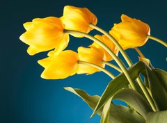 Fototapeta330 x 244  back of a gorgeous bouquet of yellow tulips, 330 x 244 cm