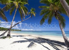 Samolepka flie 100 x 73  Tropical paradise, 100 x 73 cm