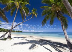 Samolepka flie 200 x 144, 51773915 - Tropical paradise - Tropick rj