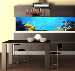 Fototapeta do kuchyn flie 260 x 60  Underwater scene. Coral reef, fish groups in clear ocean water, 260 x 60 cm
