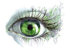 Samolepka flie 145 x 100, 52241542 - human eye - lidsk oko