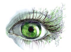 Fototapeta pltno 240 x 174, 52241542 - human eye - lidsk oko
