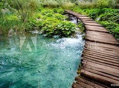 Fototapeta270 x 200  Wooden Bridge, 270 x 200 cm