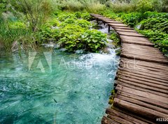 Fototapeta360 x 266  Wooden Bridge, 360 x 266 cm