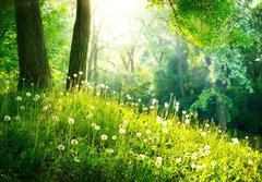 Fototapeta papr 184 x 128, 52445445 - Spring Nature. Beautiful Landscape. Green Grass and Trees - Jarn proda. Krsn krajina. Zelen trva a stromy