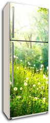 Samolepka na lednici flie 80 x 200  Spring Nature. Beautiful Landscape. Green Grass and Trees, 80 x 200 cm