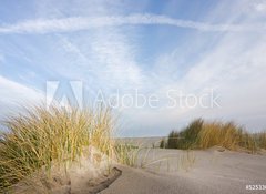 Samolepka flie 100 x 73, 52533034 - Dunes and beachgrass
