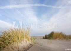 Fototapeta papr 160 x 116, 52533034 - Dunes and beachgrass