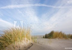 Fototapeta pltno 174 x 120, 52533034 - Dunes and beachgrass