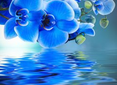Samolepka flie 100 x 73, 52702092 - ramo de orqudea y reflejo en el agua