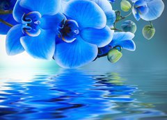Samolepka flie 200 x 144, 52702092 - ramo de orqudea y reflejo en el agua