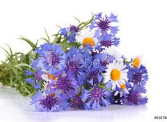 Fototapeta vliesov 100 x 73, 52878804 - Beautiful bouquet of cornflowers and chamomiles ,isolated