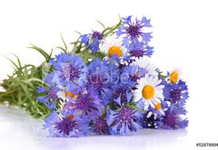 Samolepka flie 145 x 100, 52878804 - Beautiful bouquet of cornflowers and chamomiles ,isolated