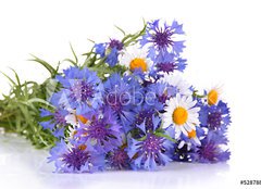 Fototapeta papr 160 x 116, 52878804 - Beautiful bouquet of cornflowers and chamomiles ,isolated