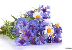 Fototapeta pltno 174 x 120, 52878804 - Beautiful bouquet of cornflowers and chamomiles ,isolated