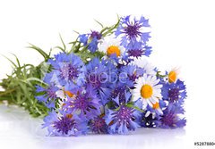 Fototapeta papr 184 x 128, 52878804 - Beautiful bouquet of cornflowers and chamomiles ,isolated