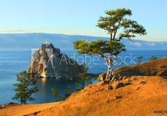 Fototapeta papr 184 x 128, 5292797 - Shaman tree - amansk strom