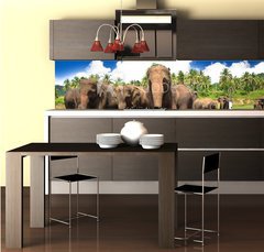Fototapeta do kuchyn flie 260 x 60, 53076772 - Elephant group in the river